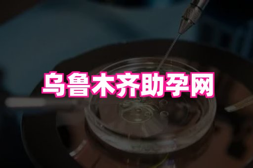 东莞助孕网站 3