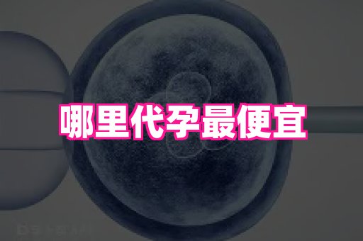 东莞助孕网站 4